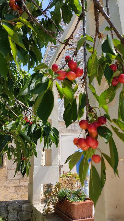 Trulli Di Zia Tata Konuk evi Locorotondo Dış mekan fotoğraf