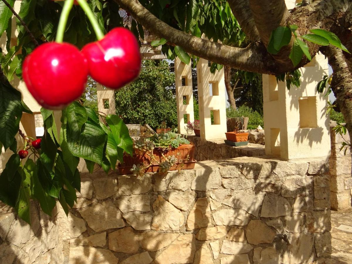 Trulli Di Zia Tata Konuk evi Locorotondo Dış mekan fotoğraf